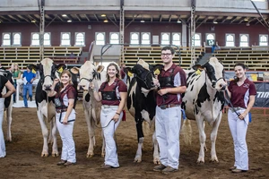 The students who showed with the cattle. 